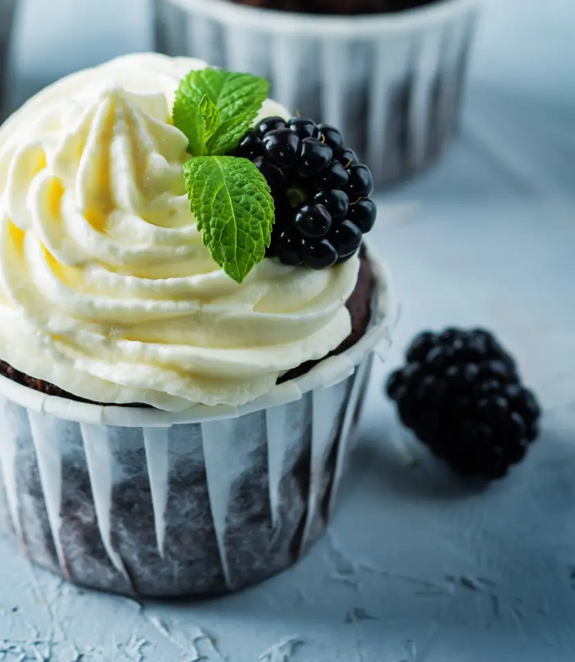 Elegant cupcake with cream frosting, dark chocolate layer, fresh blackberry, and mint leaves on gray textured surface.